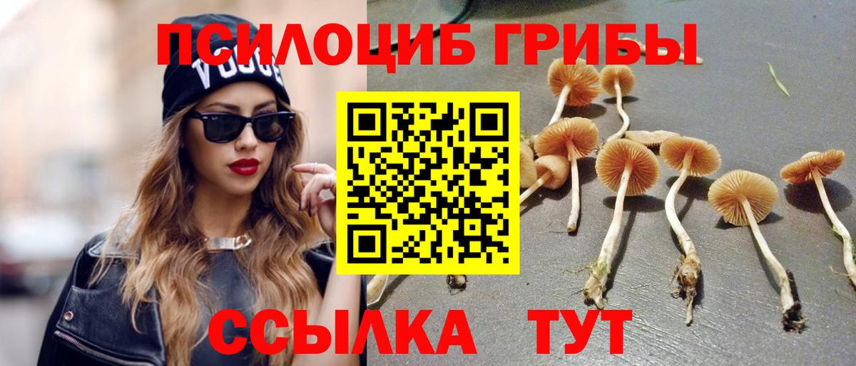 Галлюциногенные грибы MAGIC MUSHROOMS  где найти наркотики  Ярославль  Вход с VPN 